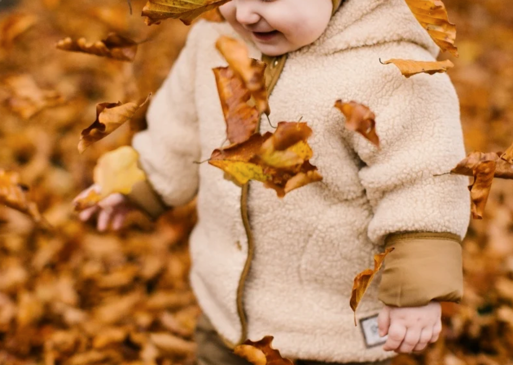 Autumn Activities with a Toddler