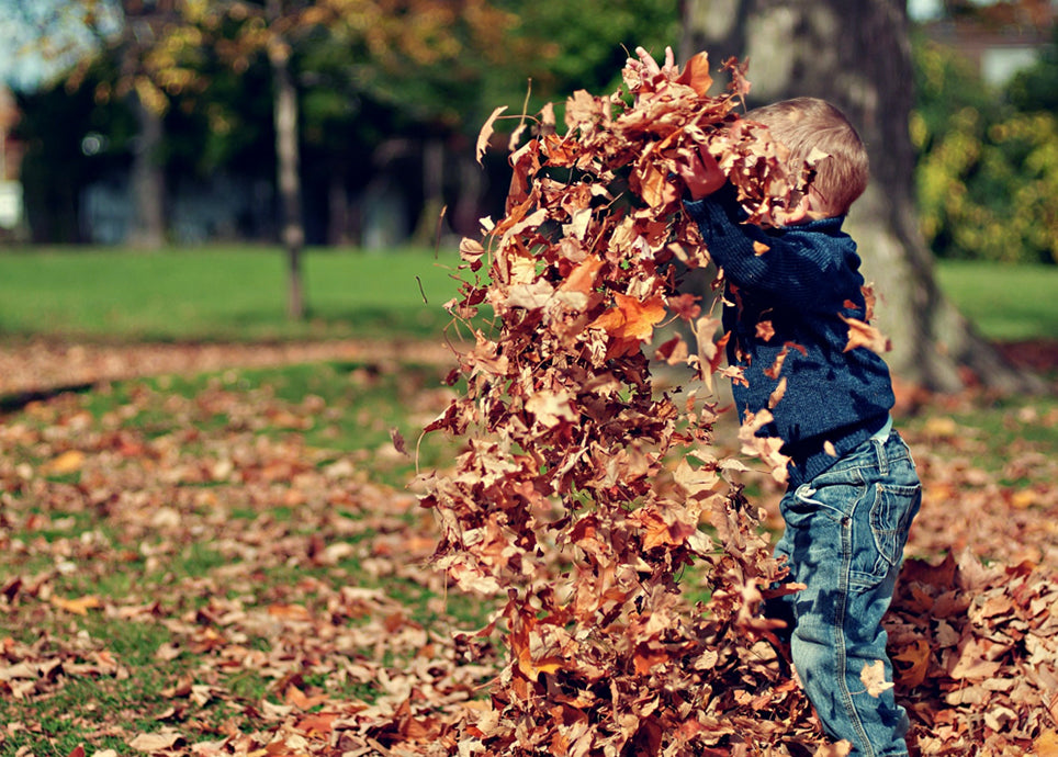 Autumn with little ones