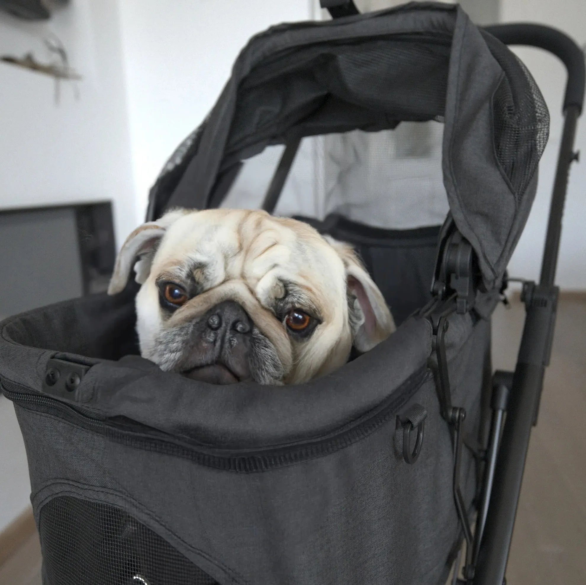 Dog baby carriage