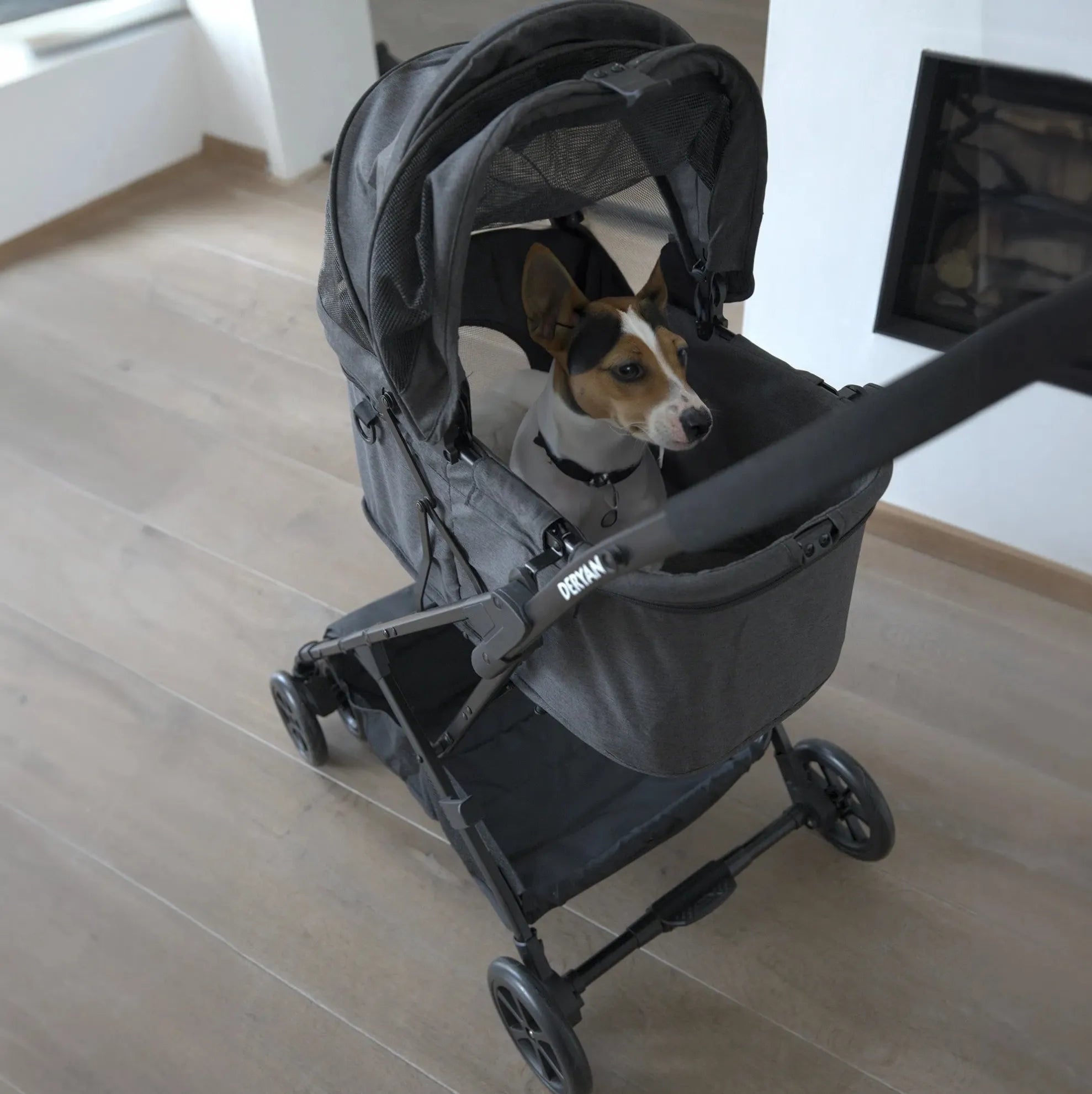 Dog baby carriage